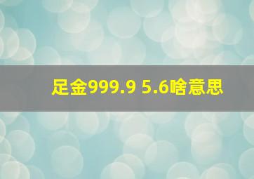 足金999.9 5.6啥意思